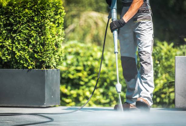 Best Animal Enclosure Cleaning  in Westminster, CO